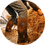 Landwirtschaft