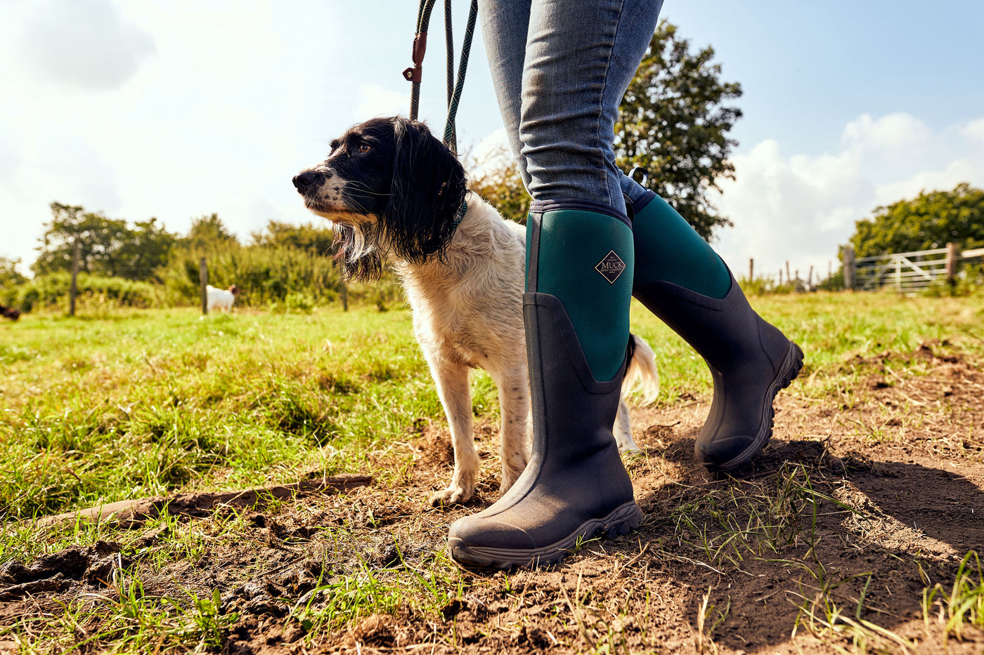 Person in einem Paar Muck Boots Arctic Sport II Gummistiefel spaziert mit einem Hund über ein Feld