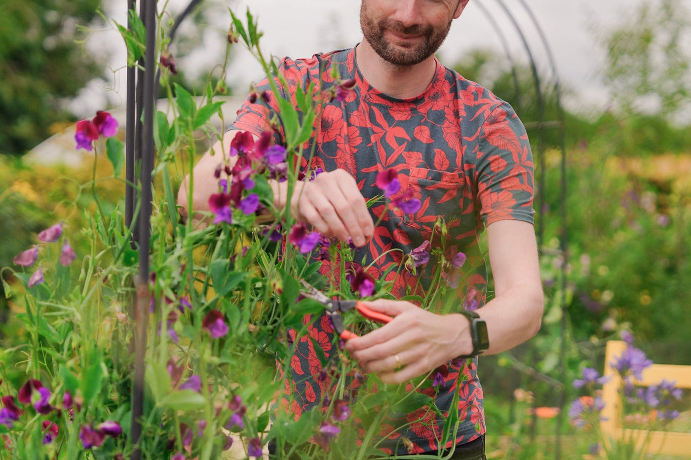 Niall beim Beschneiden von Blumen
