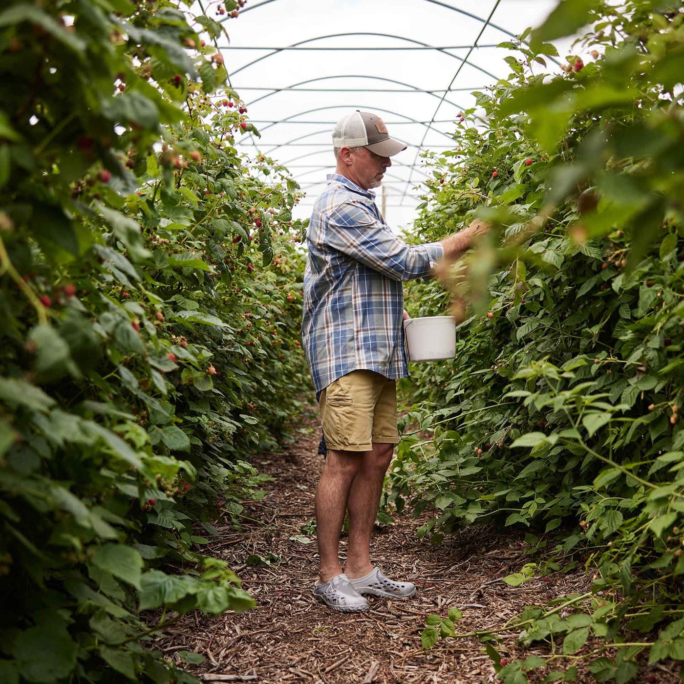 Herren Muckster Lite Clogs 0
