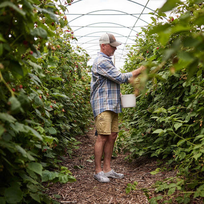 Herren Muckster Lite Clogs 0
