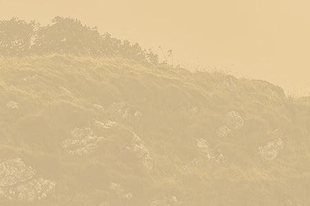 Bild einer felsigen Klippe mit einer beigefarbenen Überlagerung