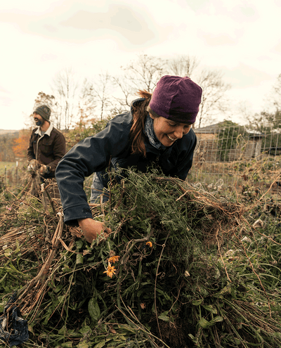 Ein Mann und eine Frau ernten Pflanzen